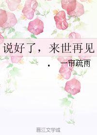 来世再见 第一季,穿越时空的宿命轮回